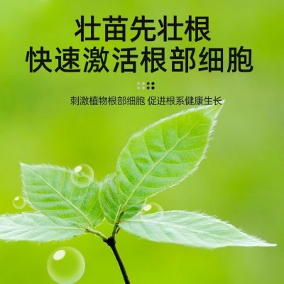 厂家定制复合肥 家用通用型花肥养花植物盆栽有机肥料化肥图2