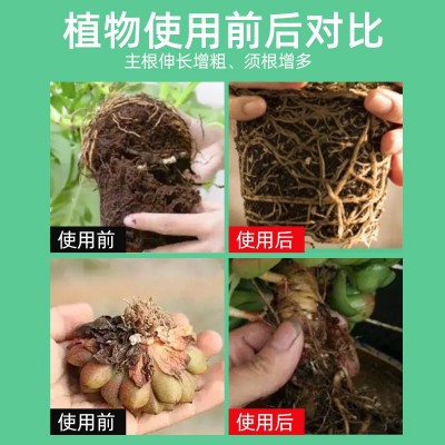 根多旺含氨基酸水溶肥料 生根液 壮苗剂养根促根根果多疏松土壤图3