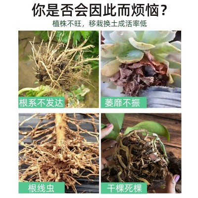 根多旺含氨基酸水溶肥料 生根液 壮苗剂养根促根根果多疏松土壤图2