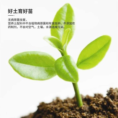 营养土大量批发养花通用型专用土种花土家用种菜土壤种植绿萝多肉图4