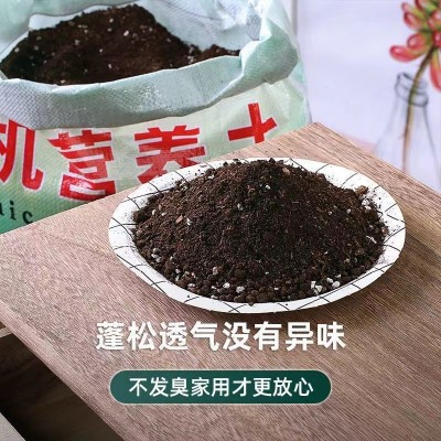 营养土大量批发养花通用型专用土种花土家用种菜土壤种植绿萝多肉图2