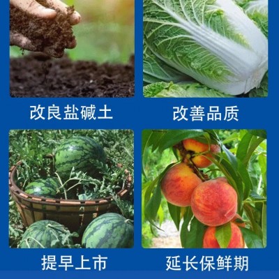 大棚蔬菜瓜果水溶复合叶面氮肥冲施肥基肥速溶补钙农用硝 酸铵钙图3
