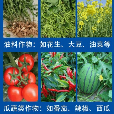硫酸钾农业通用型水溶钾肥果树根茎钾肥钾盐瓜果蔬菜复合 肥硫酸钾图3