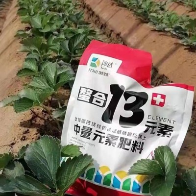 硼锌铁钙镁13元素叶面肥微中量元素水溶肥瓜果蔬菜专用微量元素肥图4