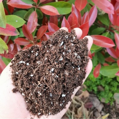 包邮一件代发家庭园艺有机营养土种花种菜多肉花卉植物种植土20升图5