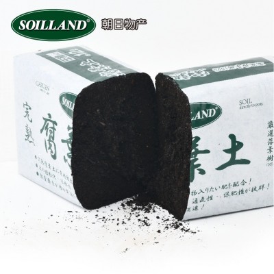 腐叶土腐熟营养土落叶腐殖质朱顶红三角梅专用酸性有机肥种花土壤图4