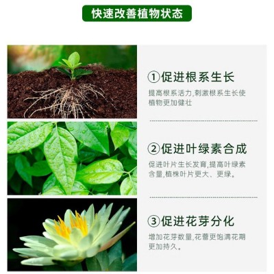 厂家批发花园宝家庭园艺通用有机肥料庭院果树植物蔬菜花苗缓释肥图4