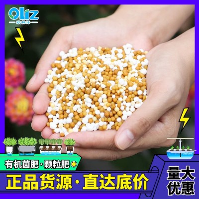 厂家现货 颗粒缓释有机肥花肥料果蔬肥植物有机菌肥花卉通用 批发图4