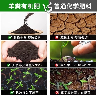 蘑菇肥批发公园草坪绿化有机肥疏松土壤培肥地力防止板结厂家现货图4