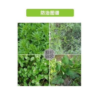 好实多30%草除灵 油菜田荞麦蔓繁缕多种一年生阔叶杂草除草剂农药图3
