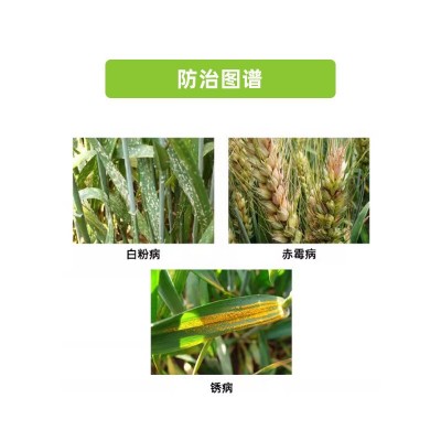 久幺久 30%丙硫菌唑 小麦作物 锈病白粉病赤霉病专用 杀菌剂农药图3