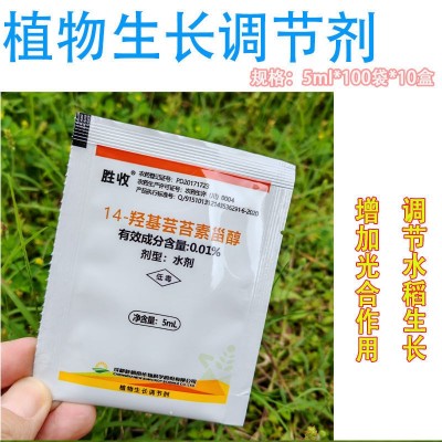 胜收十四羟基芸苔素甾醇水稻柑橘树小麦调节生长植物生长调节剂图5
