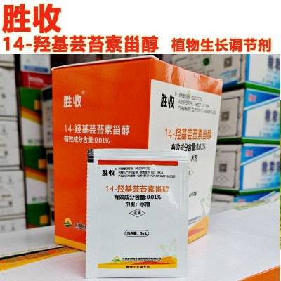 胜收十四羟基芸苔素甾醇水稻柑橘树小麦调节生长植物生长调节剂图2