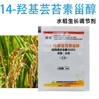 胜收十四羟基芸苔素甾醇水稻柑橘树小麦调节生长植物生长调节剂图4
