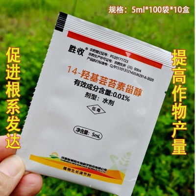 胜收十四羟基芸苔素甾醇水稻柑橘树小麦调节生长植物生长调节剂图3