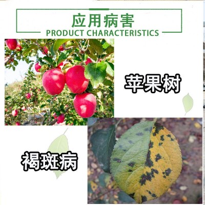 龙灯多宁悬浮剂硫酸铜钙霜霉病杀菌剂图2