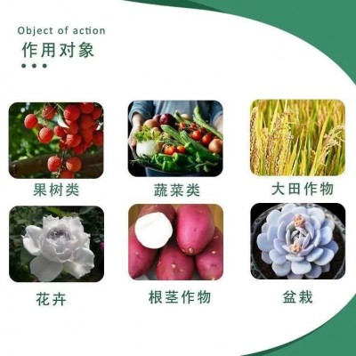 上海升联40克15%多效唑控制生长增产植物生长调节剂图5