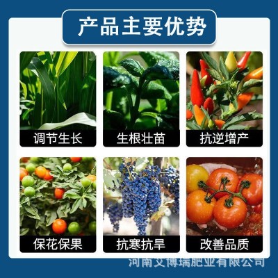 1.8%复硝酚钠植物生长调节剂生根壮苗保花保果膨大果提质增产正品图2