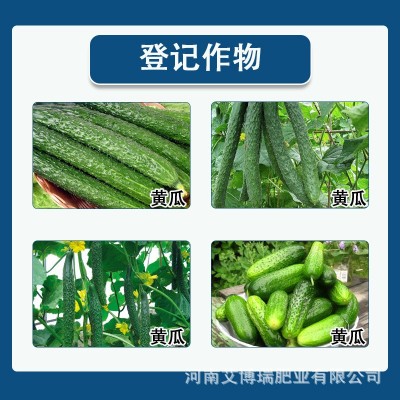 高含量苯甲吡唑酯白粉病用药黄瓜农药杀菌剂批发直销正品专用药图3