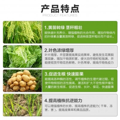 奥朗叶绿素氨基酸叶面肥提苗壮棵增绿果树蔬菜用中量元素水溶肥料图3