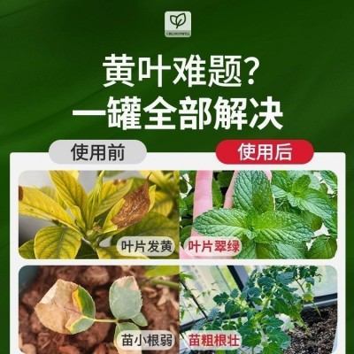 叶绿素氨基酸叶面肥花卉生根壮苗绿叶素植物通用中量元素水溶肥料图2