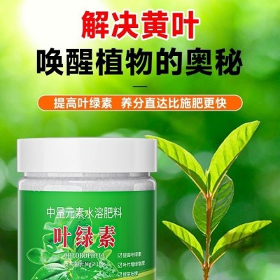 叶绿素氨基酸叶面肥花卉生根壮苗绿叶素植物通用中量元素水溶肥料图5