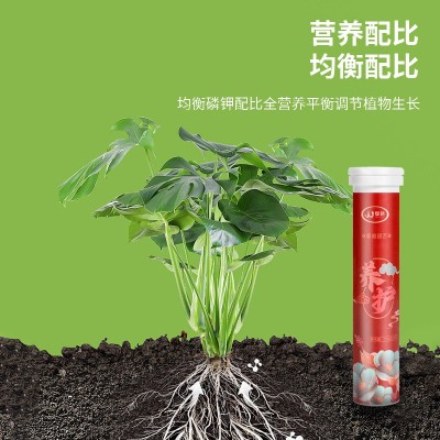 家庭园艺缓释片通用型氮磷钾营养片室内养花花卉盆栽多肉盆有机肥图3