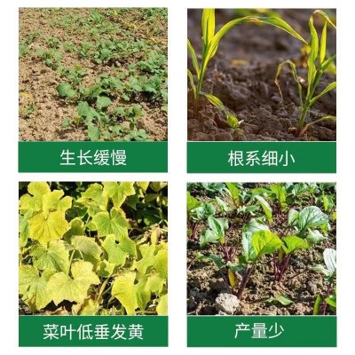 蔬菜专用肥料黄瓜西红柿韭菜白菜萝卜果蔬绿植复合化肥颗粒缓释肥图5