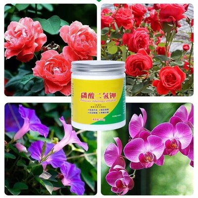 爆款磷酸二氢钾叶面肥农业肥有机肥植物促开花生长调节剂水溶肥图3