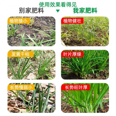 韭菜专用肥料韭菜苗缓释果蔬蔬菜花卉盆栽植物种菜通用有机肥图3