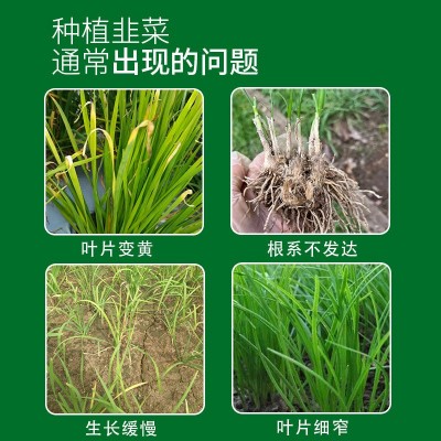 韭菜专用肥料韭菜苗缓释果蔬蔬菜花卉盆栽植物种菜通用有机肥图4