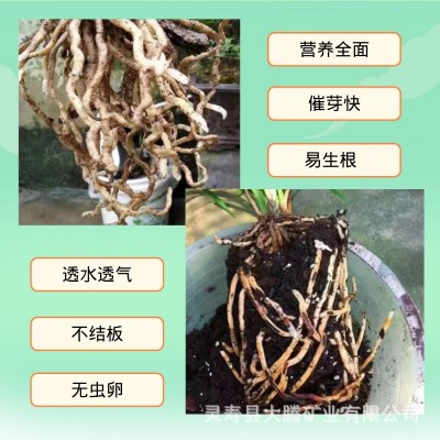 深度发酵花生壳兰花君子兰石斛花肥有机农家肥基质发酵腐熟花生壳图3