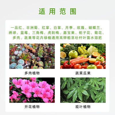 翠筠必达高钾15-10-30叶面肥多肉石斛盆栽花卉茎秆粗壮水溶肥10kg图2