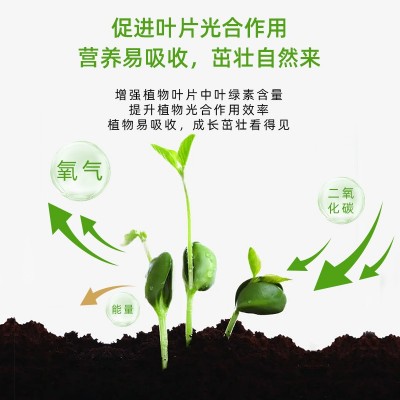 翠筠必达高钾15-10-30叶面肥多肉石斛盆栽花卉茎秆粗壮水溶肥10kg图4