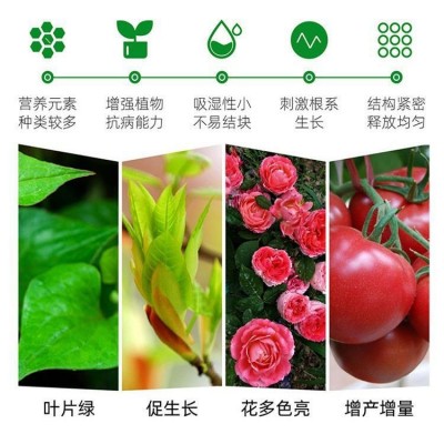 磷酸二氢钾花肥叶面肥农用肥料花卉植物壮根保果促花水溶肥通用型图3