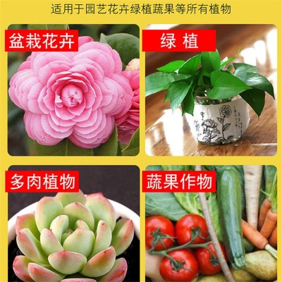 磷酸二氢钾花肥叶面肥农用肥料花卉植物壮根保果促花水溶肥通用型图2