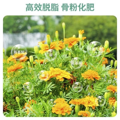 特质园艺骨粉花肥料特制有机肥家用高磷钙促花果脱脂脱盐用促花果图4