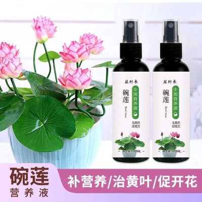碗莲专用营养液水培水溶肥睡莲肥料通用种子发芽生根促开花防黄叶图3