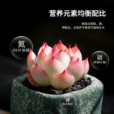 缓释肥家庭园艺缓释肥通用型氮磷钾肥盆栽花卉多肉适用家用有机肥图4