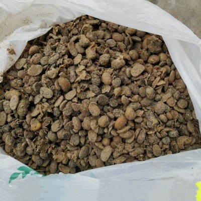 厂家供应有机肥土壤改良剂生物菌肥 腐熟发酵大豆肥发酵大豆图3