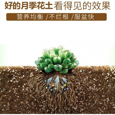 生物有机肥厂家批发增加产量改良土壤农作物通用型有机肥料图2