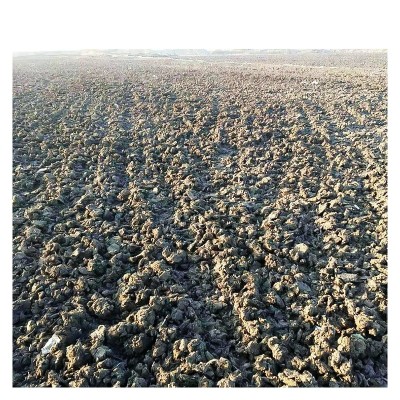 牛屎肥纯干牛粪肥农家肥牛粪有机肥料花蔬菜用天然农家牛粪块图5