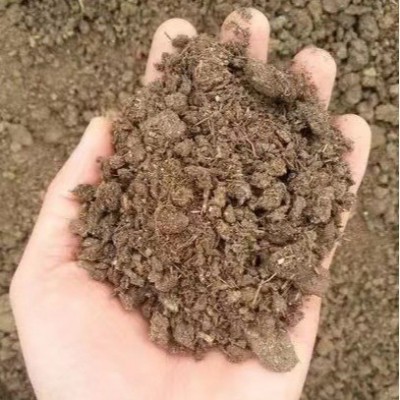 牛屎肥纯干牛粪肥农家肥牛粪有机肥料花蔬菜用天然农家牛粪块图2