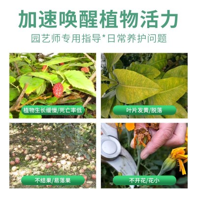 德沃多三元复合肥蔬菜专用肥料氮磷钾缓释肥花肥花卉农用种菜通用图4