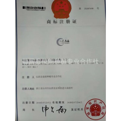 预售仙居本地新鲜特等东魁杨梅 检测通过 江浙沪到家 批发零售图5