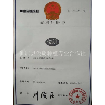 预销新鲜本地仙居特等荸荠杨梅 产地直发 零售批发图3