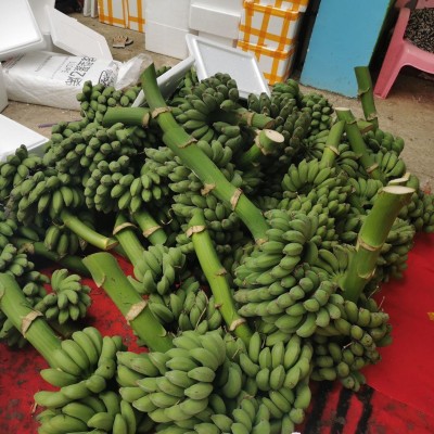 新鲜可食用禁止蕉绿办公室绿色水培植物装饰拒绝蕉绿小米蕉图4