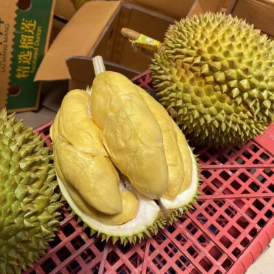 金枕A果榴莲水果产地直发带壳整个新鲜代发图4