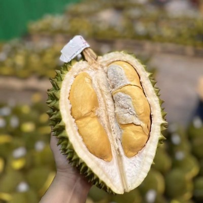 金枕A果榴莲水果产地直发带壳整个新鲜代发图2