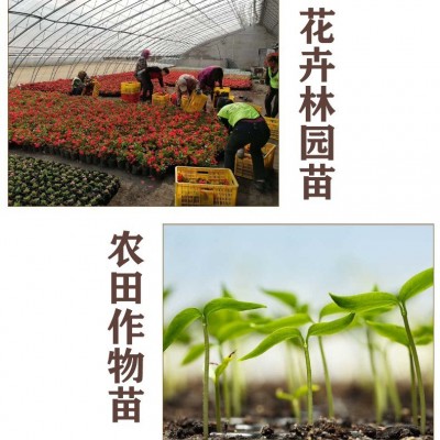 内蒙古土壤营养土图2